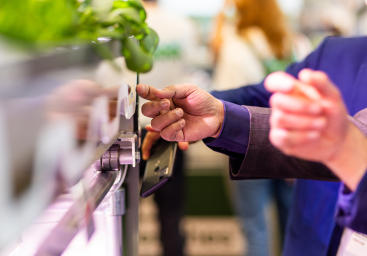 Vertical Farming when it matters: insights from Fieldlab VF 2.0