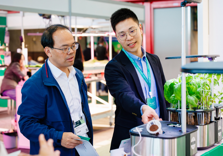 Efficient Water Management in Soil‑Bound Crops with Digital Decision Tools