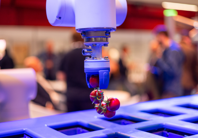 Autonomous systems: what greenhouse growers can learn from autonomous factories