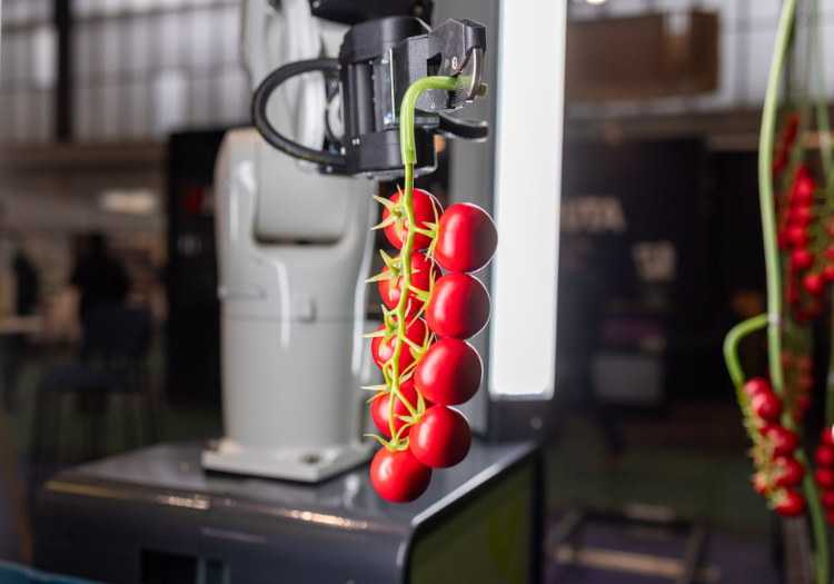 The Future of Controlled Environment Agriculture: Science‑Driven Visions for a Changing World