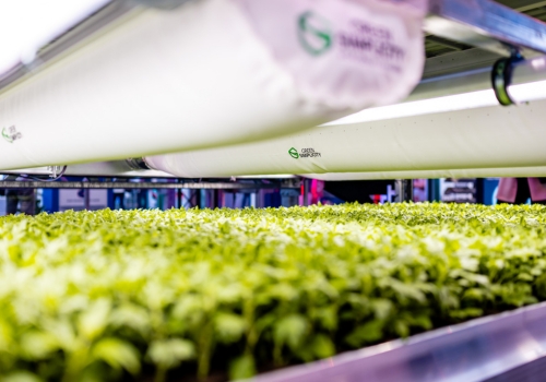 Invisible threat: Hygiene in Horticulture