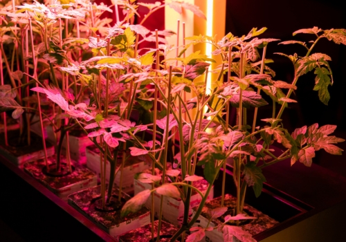 From crop expertise to data-driven cultivation management