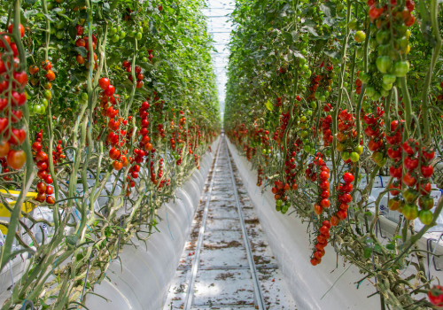 Connected control: how to integrate data driven solutions from multiple suppliers?