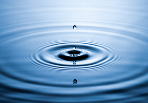 Introduction of new Intelligent Algorithms module – Intelligent Irrigation