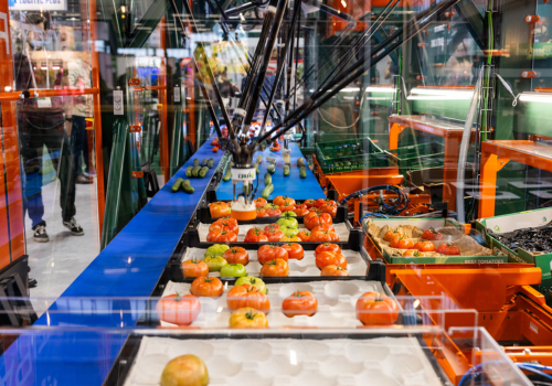 Maximizing Tomato Growth and Yield: Optimizing PPFD intake for your crops