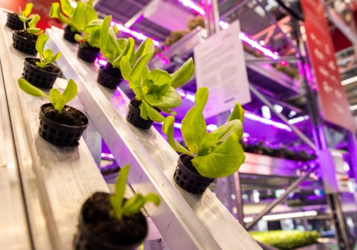 Vertical Farming: it is possible!