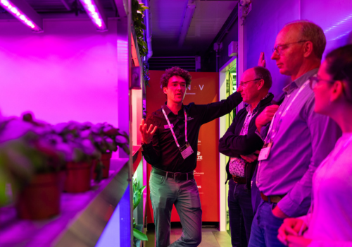 Growing confidence: International success stories of vertical farming