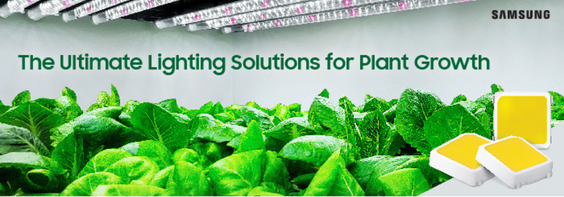 Samsung introduces plant-centric spectrum LEDs, for most effective indoor farming Header image