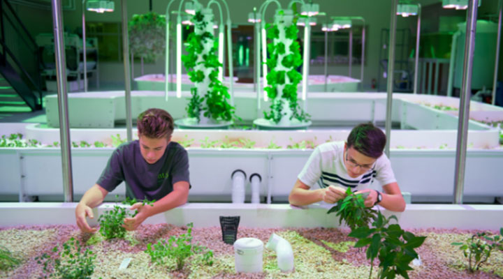 Young professionals working with plants