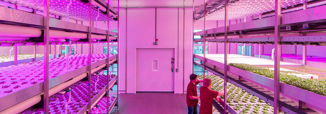 Accelerating the advancement of vertical farming together