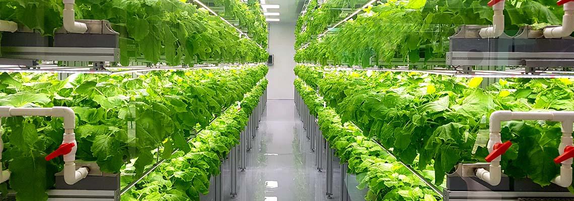 podcast-on-vertical-and-urban-farming