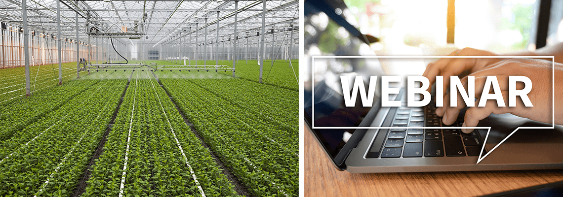 The pandemic is a wake up call and speeds up optimisations in horticulture