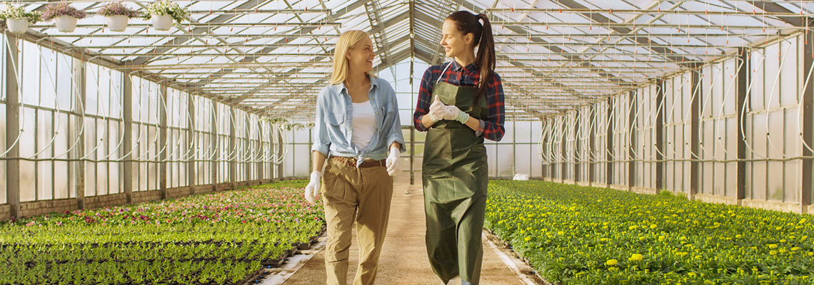 Young Professionals in floriculture