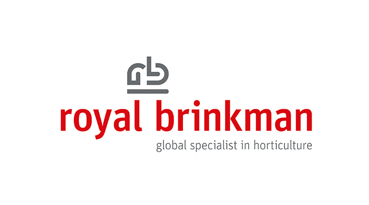 GRA-Royal Brinkman