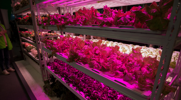 All marketleaders in Vertical Farming will exhibit within the Vertical Farming pavilion